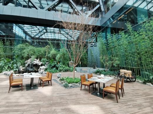 森系室内热门场地 商品图1