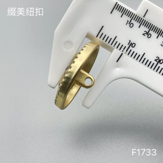 F1733 商品图6