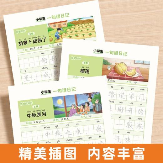 小学生写日记（一句话+一段话+一整篇）和一段话作文练字帖全套四本写作练字两不误 商品图8