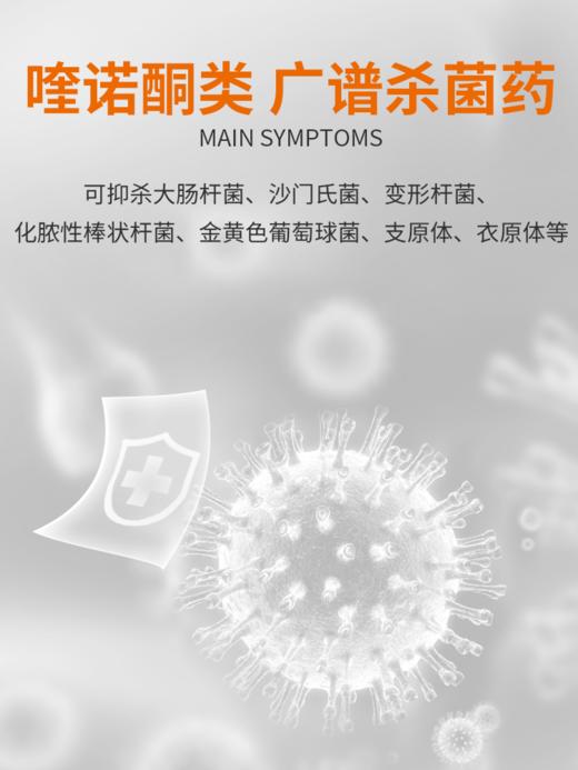 普安特宠物狗狗产后炎症猫咪子宫蓄脓乳腺炎症泌尿感染药恩诺沙星恩诺奇zx 商品图4