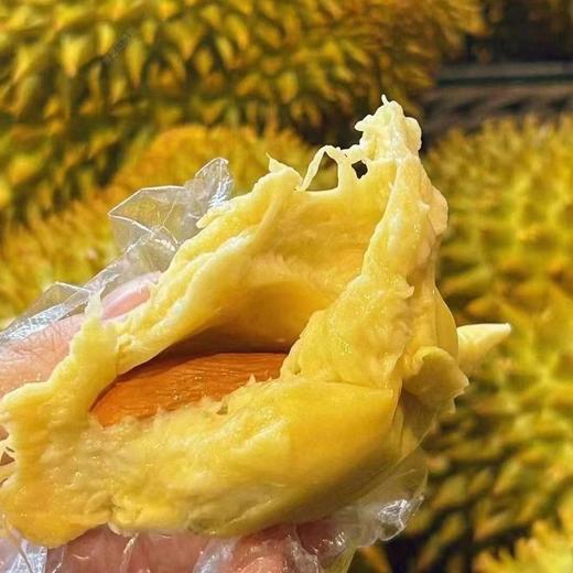 【超满足！冰淇淋金枕榴莲】软绵香浓，如牛奶般嫩滑！新鲜水果托曼尼甲仑干尧猫山当季巴掌 商品图9