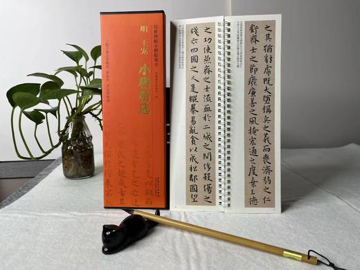推荐书单｜传世碑帖小楷临摹卡  商品图3