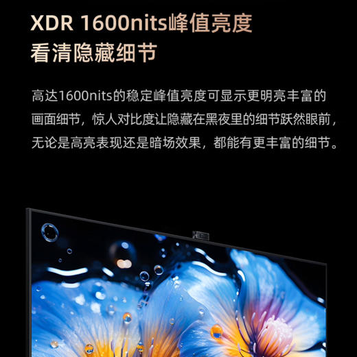 海信（Hisense）电视 100E7K 商品图14