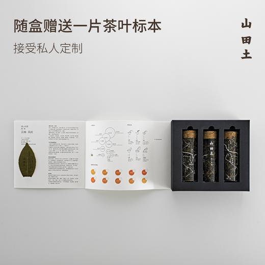 山田土 |茶研室系列三支装 云南凤庆300年野生古树滇红 商品图3