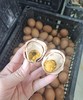 咸鸡蛋10个 商品缩略图2