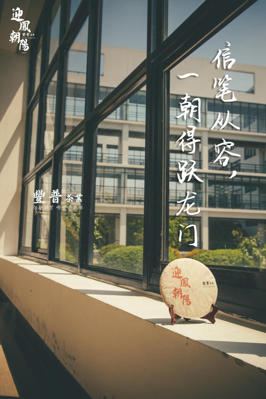 2024年迎凤朝阳 布朗熟茶 357g 商品图6