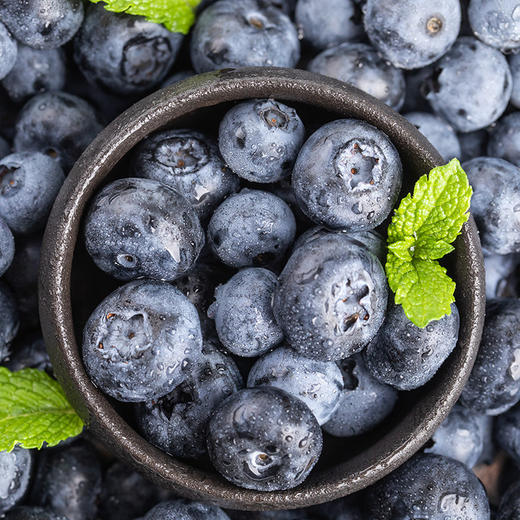 【“浆果皇后”！超好吃的蓝莓】脆嫩果肉，咬一口直爆浆，酸甜可口美味 商品图2