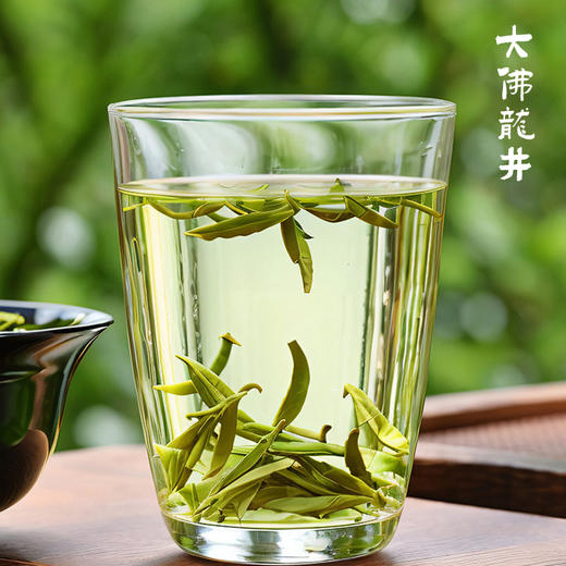 百鸟峥茗 | 新昌大佛龙井 125g  一盏茶中品味江南山水，共享茶禅中生活逸趣 商品图0