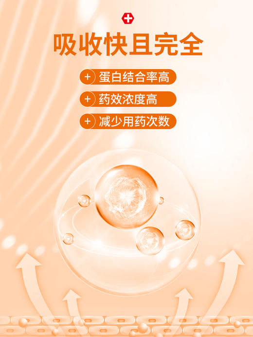 普安特狗狗皮肤病口服药瘙痒过敏药宠物止痒药猫咪犬用异位性皮炎 马来酸氯苯那敏片纽美诺 商品图3