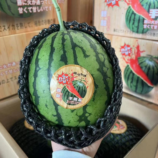 爆甜手撕小糖丸西瓜，甜度报表，肉质脆嫩的迷你麒麟瓜，一人一只 毫无压力，超好吃的西瓜🍉 商品图3