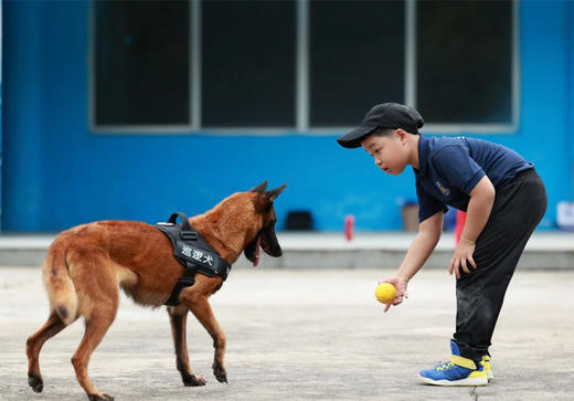 7日6夜雷霆特警冬令营 商品图2