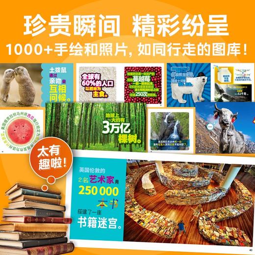 美国国家地理·世界真奇妙（第3辑）：全10册 商品图3