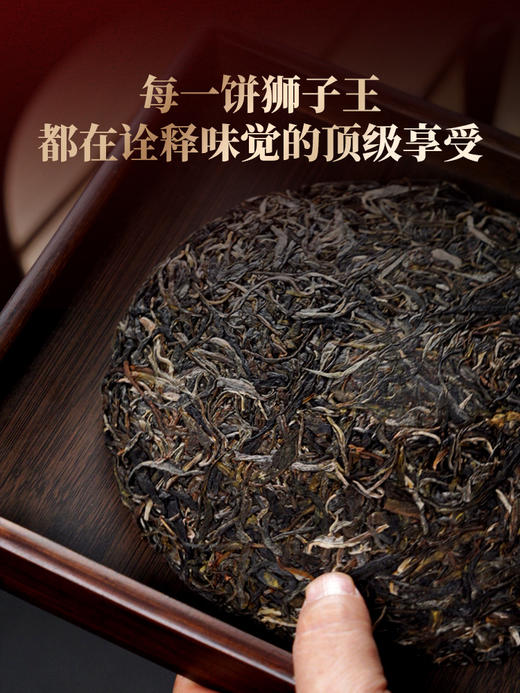 【狮子王】仅余5饼！！2024年春茶鼎级奢品易武之巅全球仅此一棵是对鼎峰口感的追求也是一种身份的象征一口诠释味觉的鼎级享受 商品图1