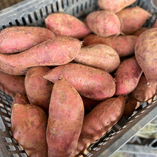 【紫薯】云南产区的大紫薯，和以往的紫薯感觉有很大区别，这个细腻甜蜜，很好吃！ 商品图2