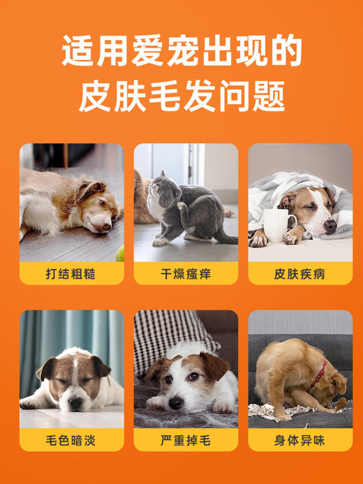 【买1送1】普安特狗狗沐浴露猫咪洗澡专用沐浴液白毛除臭持久留香宠物巴诺夫250ml（产品升级，成分有所不同） 商品图1