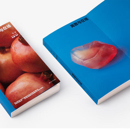 单读37·离散与在场（单读MOOK全新一辑，关注本土非虚构创作，发表“在场·非虚构写作奖学金”获奖作品） 商品图3