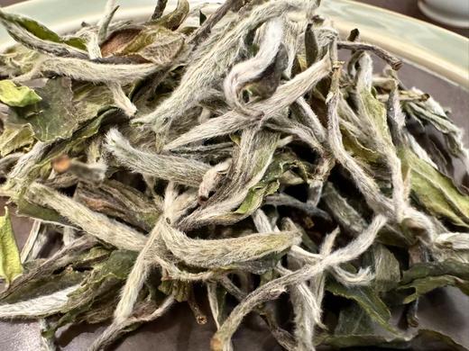 24春 顶牡·青龙山 450克 1000克 商品图3