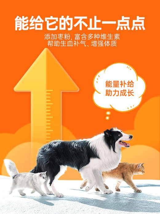 【49元任选3件】普安特猫咪维生素b防掉毛狗狗营养补充宠物用复合维生素片金维葆200片/1瓶（含量以及口味有所调整） 商品图2