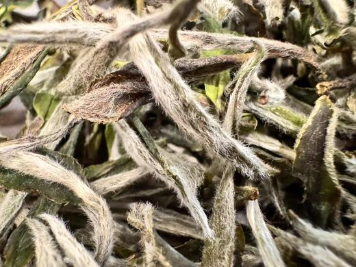 24春 顶牡·青龙山 450克 1000克 商品图4