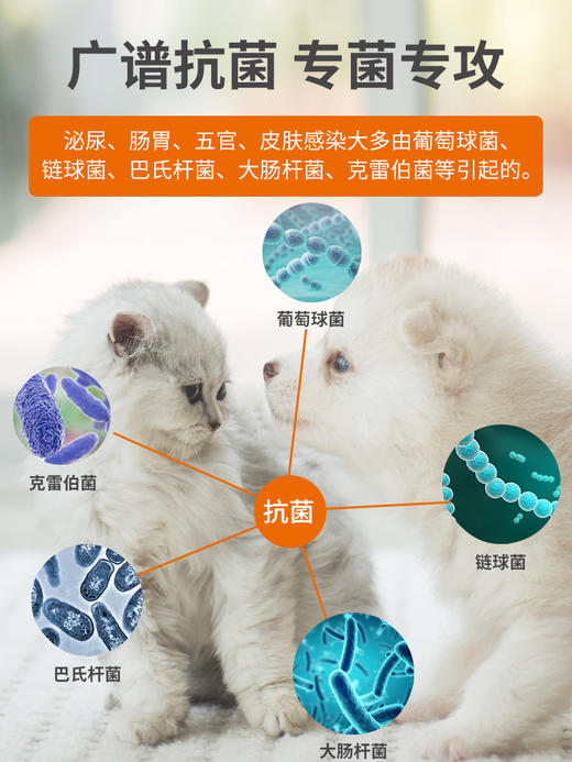 普安特宠物头孢消炎药狗狗猫咪皮肤炎症脓皮症泌尿感染尿道炎耳炎头孢羟氨苄片埃素达 商品图3
