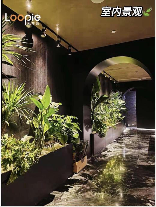 静安区庭院式露台餐厅 商品图3