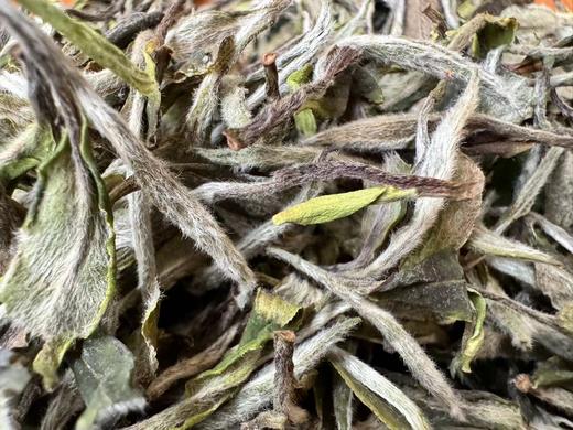 24春 顶牡·青龙山 450克 1000克 商品图2