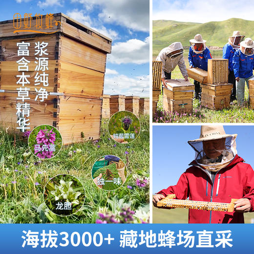 【2025新浆】田野牧蜂青藏高原头茬鲜蜂王浆新升级便携装蜂皇浆 商品图1