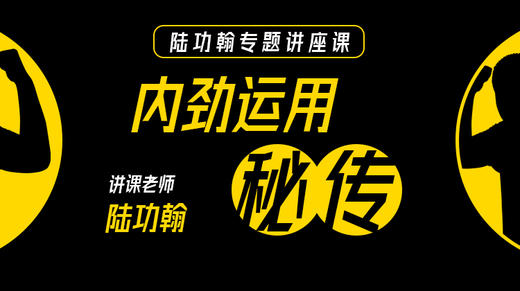 陆功翰专题课【内劲运用秘传】 商品图0