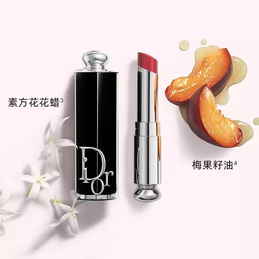 【订单实付低于299元，不发货】迪奥 克丽丝汀迪奥魅惑唇膏 727 3.2g  C029100727-F 商品图3