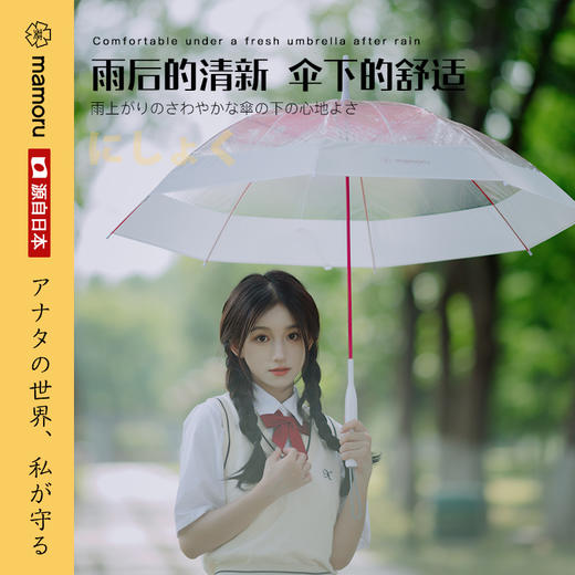 【Mamoru长柄透明渐变雨伞】耐磨防刮 强抗拒水 持久如新 商品图6