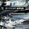 青岛原产地大鲅鱼当季肉厚新鲜顺丰 商品缩略图0