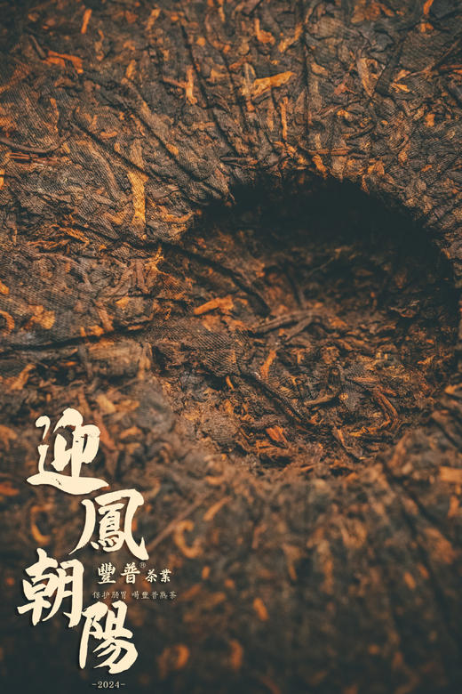 2024年迎凤朝阳 布朗熟茶 357g 商品图13