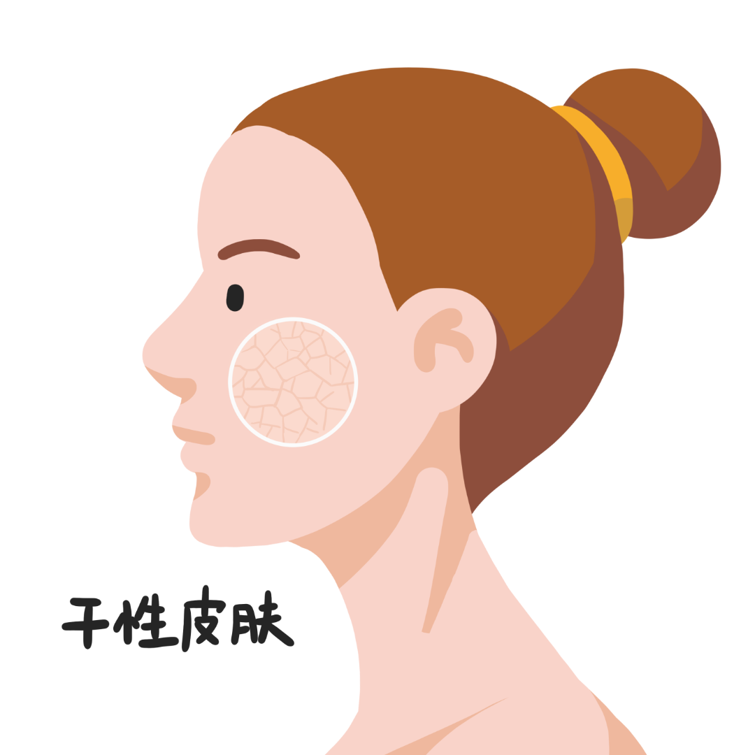 千库网_女性面部干性皮肤_元素编号13052269.png