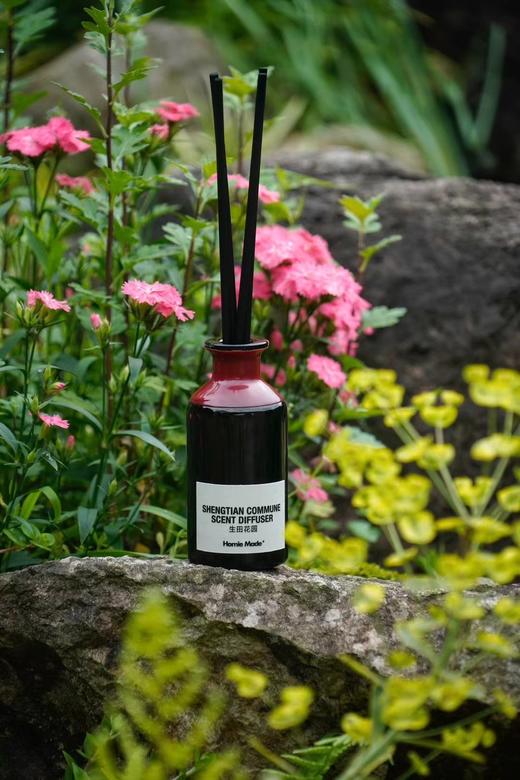 生田花园藤条香薰 商品图3