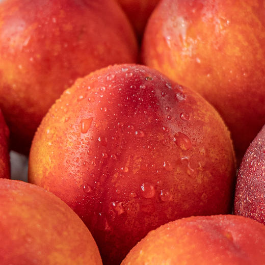 【云南珍珠黄心油桃】个头娇小 软硬两吃 果肉细腻 酸甜爽口 一口尽享汁水充沛的感觉 3种规格任选 商品图10