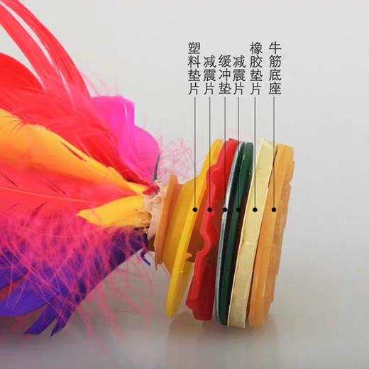 大毽子太仓新健彩色鹅毛大花毽健身毽球 1个 比赛专用牛筋底成人XJ2008/大号308 商品图3
