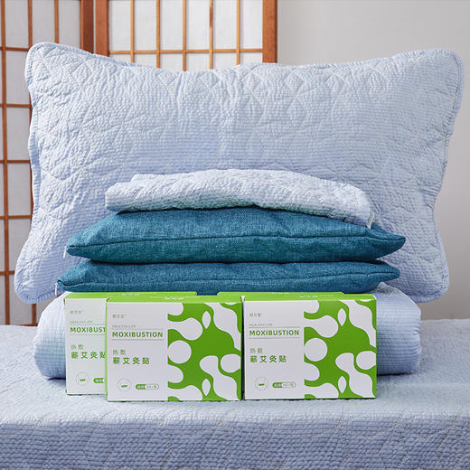 平直堂·艾绒逐湿寒养身床垫/枕套 四季都能用的养生床品 商品图0