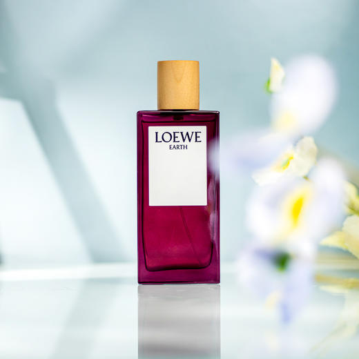 罗1威 自然之水 L0ewe Earth 分装 商品图0