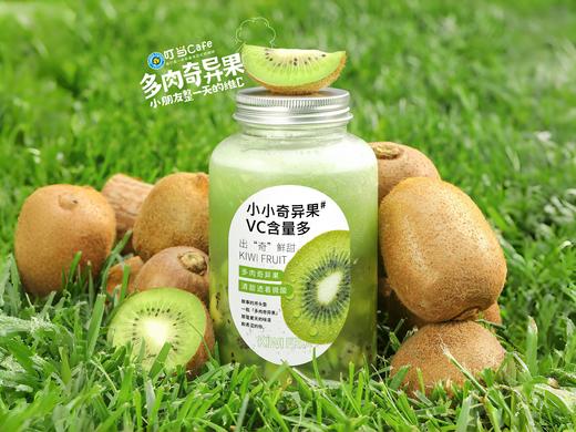 【维C】多肉奇异果 商品图0