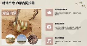 AY国药药材肉苁蓉粉