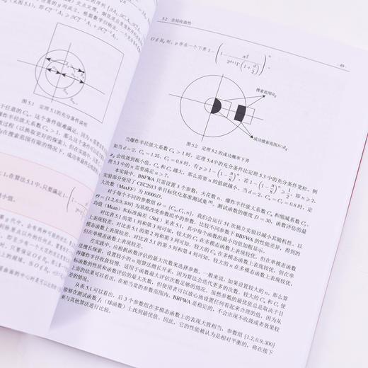烟花算法理论及应用 智能算法与应用人工智能算法计算机编程语言程序设计书籍 商品图3