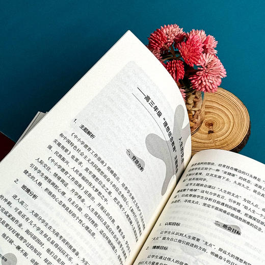 班主任基本功实战案例解析与指导 大夏书系 卓月琴编著 商品图13