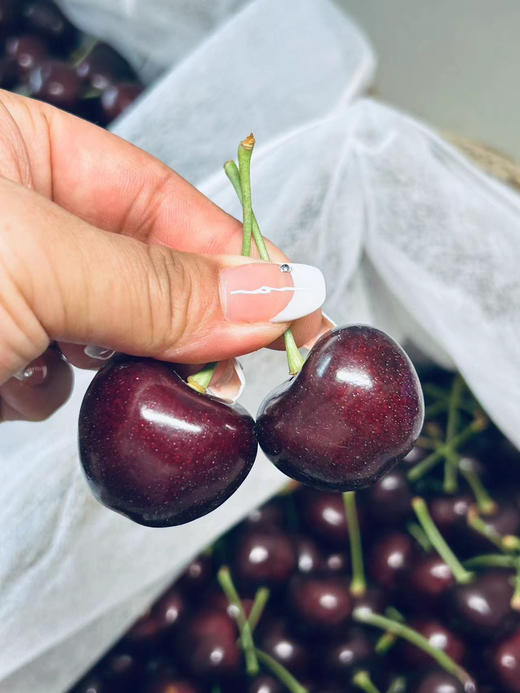 顺丰包邮到家！超级特惠，大连基地黑珍珠大樱桃。车厘子系，口感纯甜！3J，3斤/箱 商品图1