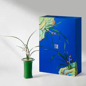 木秀兰香家居香氛