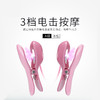 谜姬 情趣电击乳夹震动乳房按摩 自慰器女用私处刺激按摩器成人夫妻房事性辅助工具另类高潮性用品sm惩罚玩具（电池款） 商品缩略图4