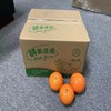 新鲜沃柑上市啦 商品缩略图0