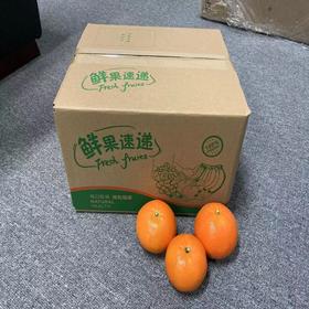 新鲜沃柑上市啦