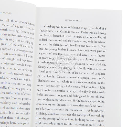 【中商原版】娜塔丽亚 金兹伯格 小美德 意大利文学大师 The Little Virtues 英文原版 Natalia Ginzburg 商品图3