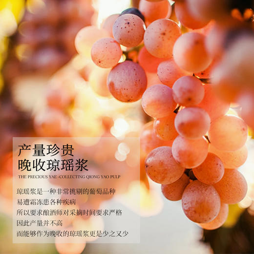 【莱茵黑森葡萄酒大赛金奖】德国帝博利琼瑶浆晚收半甜白葡萄酒 QMP级 12.5%vol 商品图2