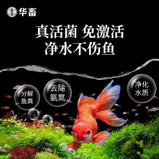 华畜硝化细菌鱼缸用净水剂养鱼净化水质稳定剂分解鱼粪消化活菌液 商品图1